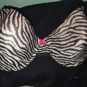 42DD Zebra Print Padded Bra